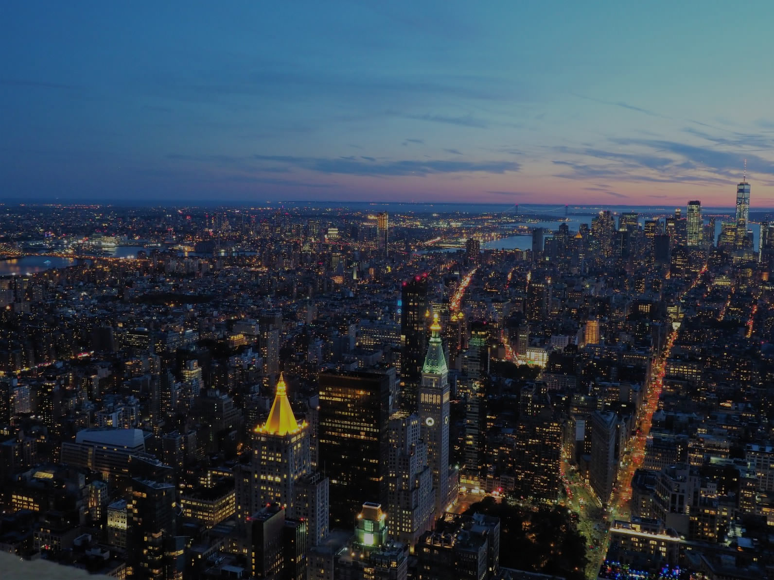 ZASHIKI INTERNATIONAL「英語化」