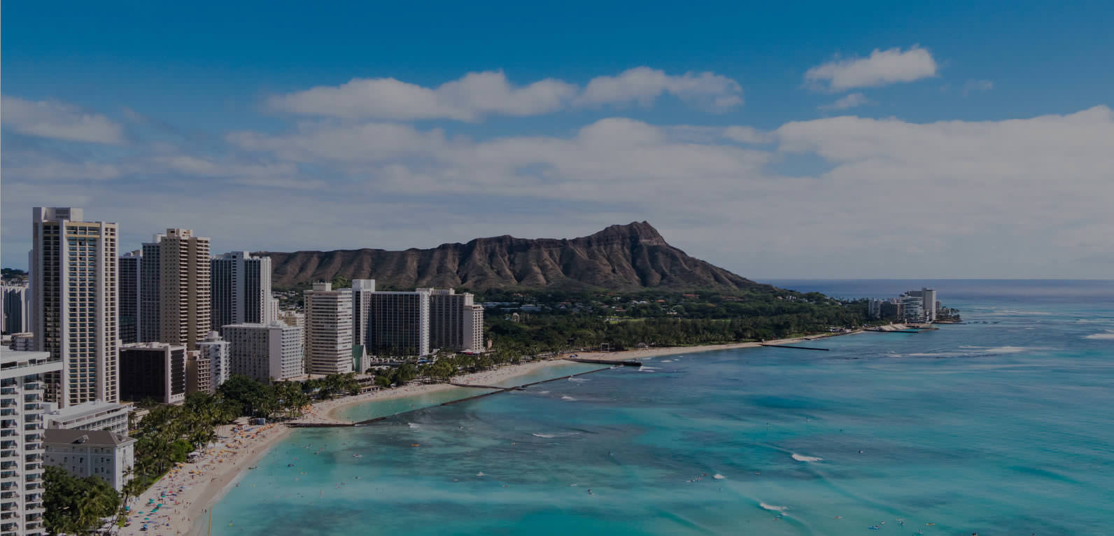 ZASHIKI INTERNATIONAL「英語化」